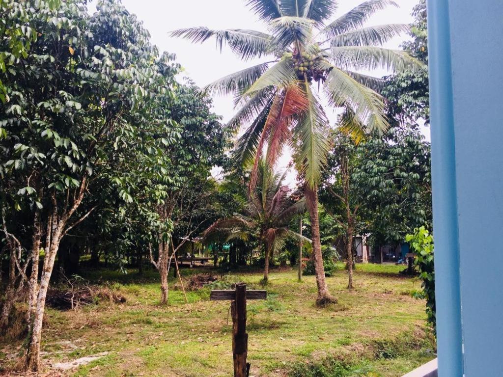 Апартаменти Baan Kalaya Garden Ban Muang Mai Екстер'єр фото